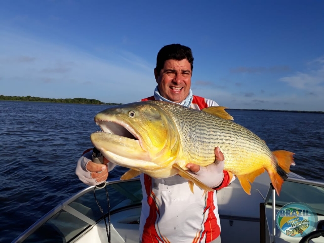 Fotos da pesca esportiva e do passeio em Paso De La Patria e Foz do Iguau